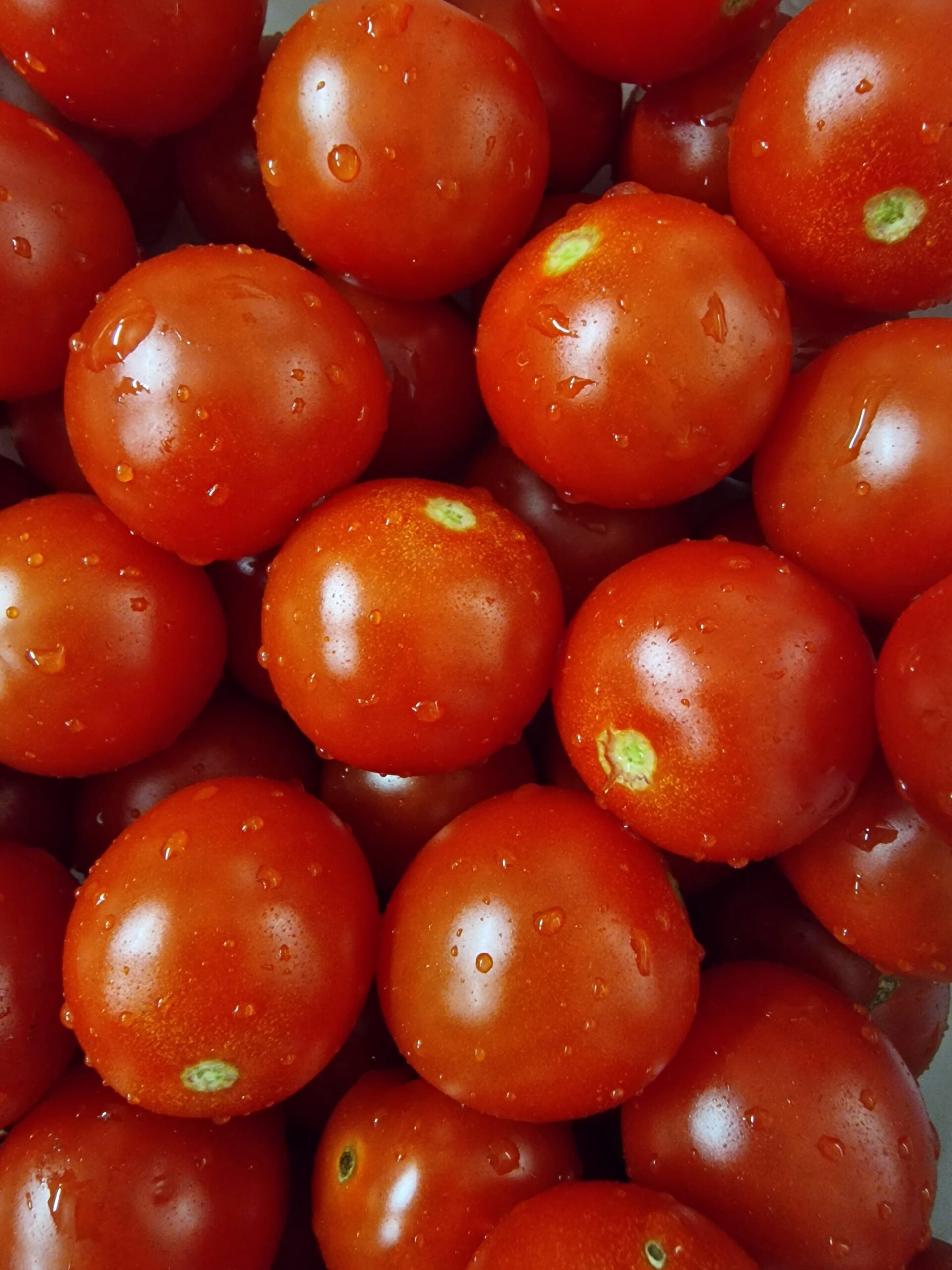 04cb2100-7a9e-4aa9-a116-216edbc4e5b0