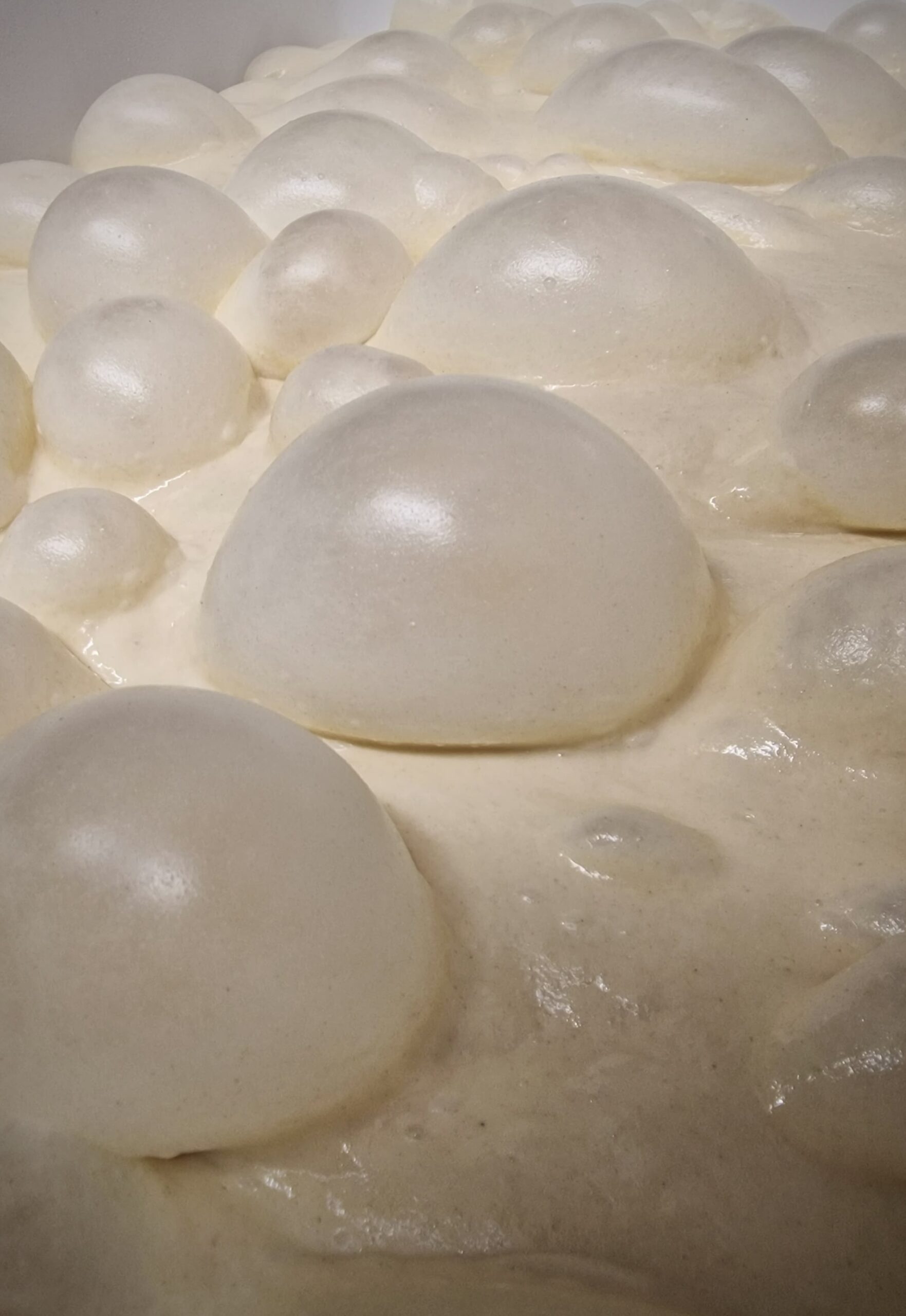 b07ddb99-11ec-48f1-b645-577f279861b8