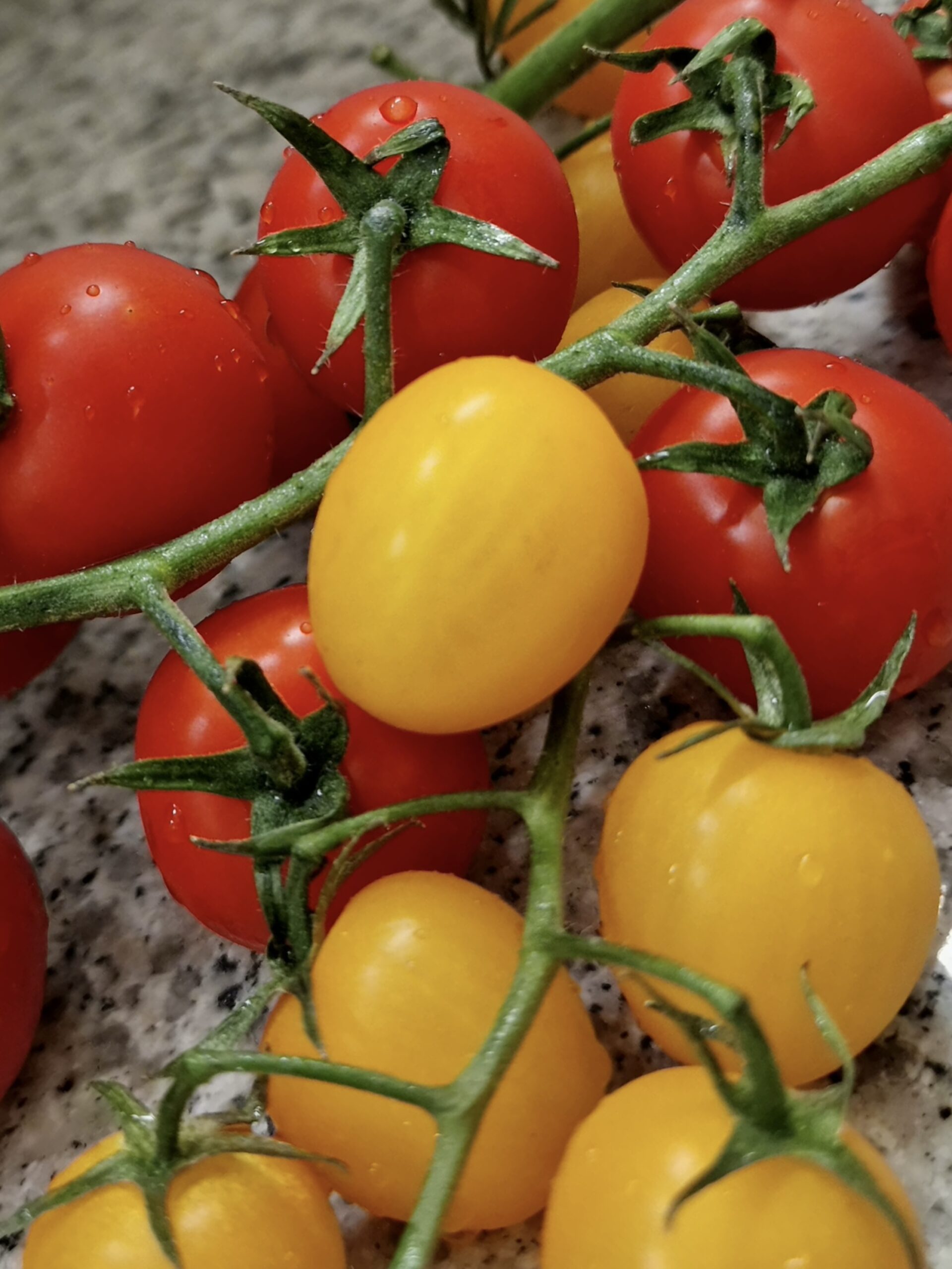 46b569d6-6941-47cb-bde7-523957889081