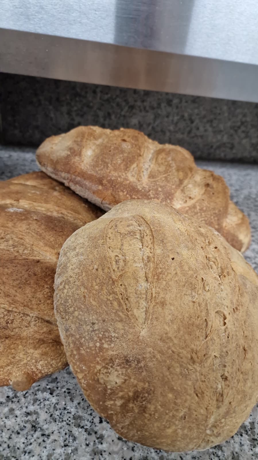 WhatsApp Image 2026-02-28 at 10.05.13