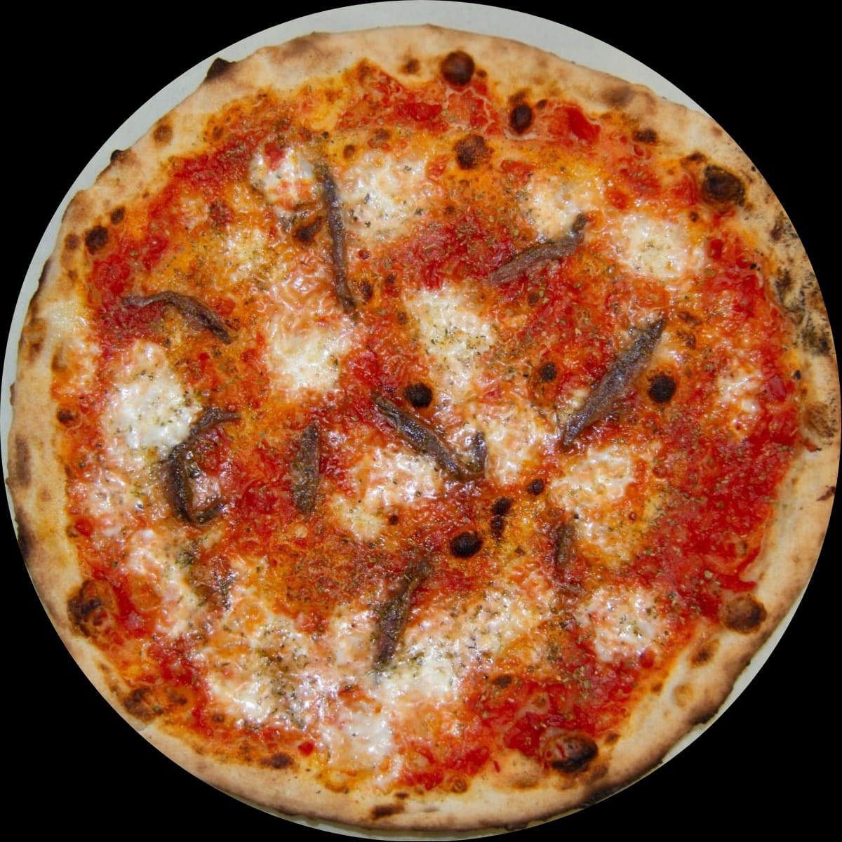 WhatsApp Image 2026-02-28 at 11.38.04 (1)