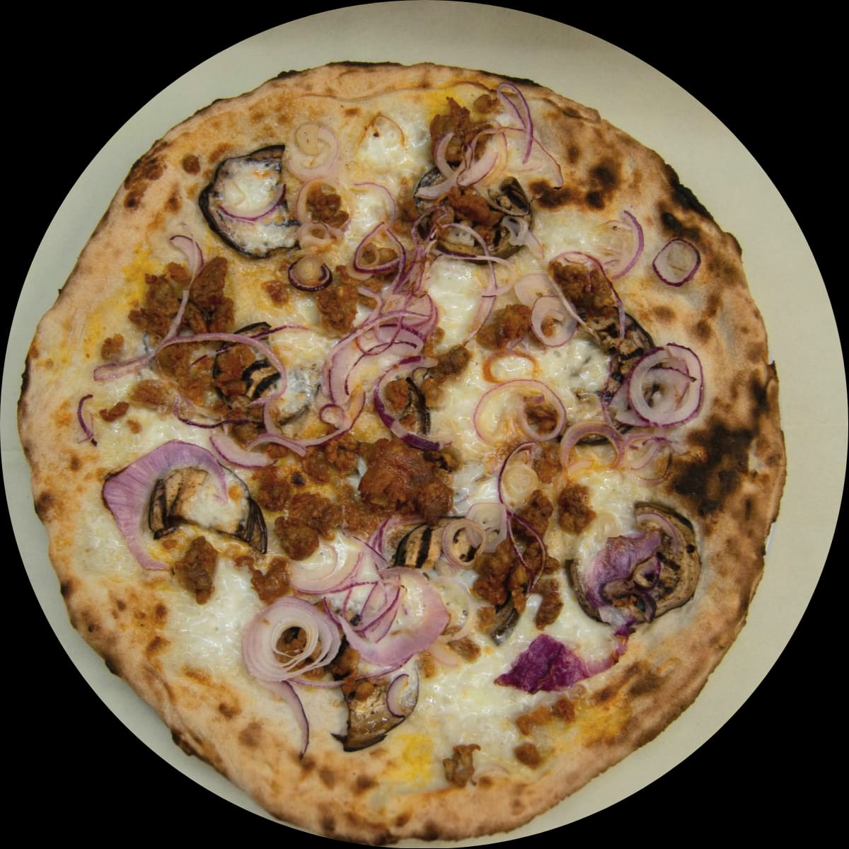 WhatsApp Image 2026-02-28 at 11.38.05 (1)