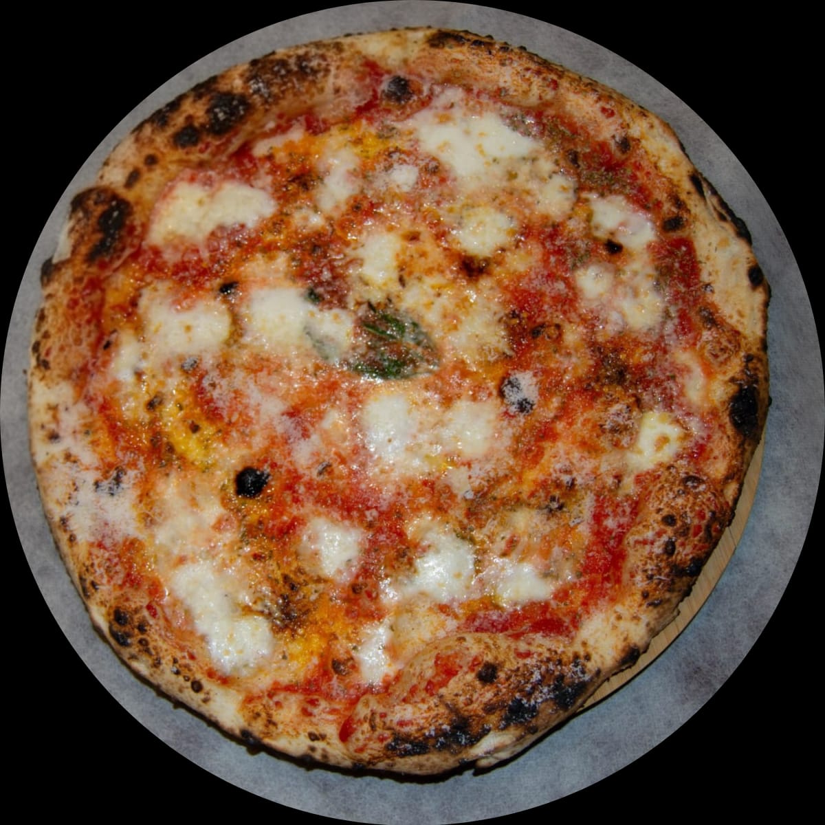 WhatsApp Image 2026-02-28 at 11.38.06