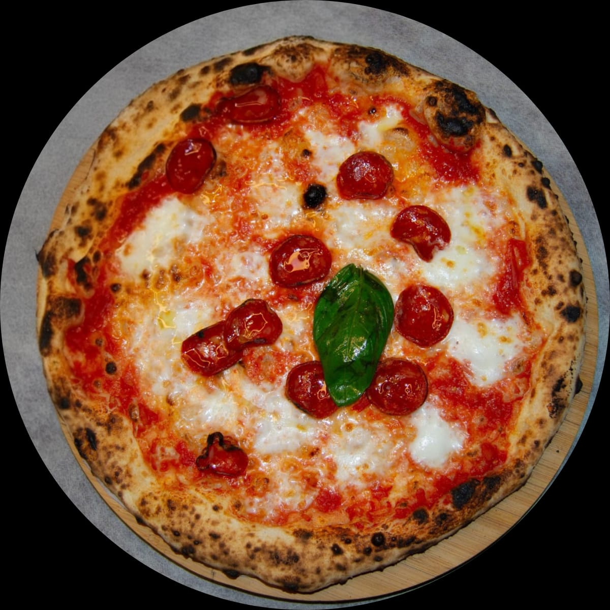 WhatsApp Image 2026-03-07 at 12.51.17