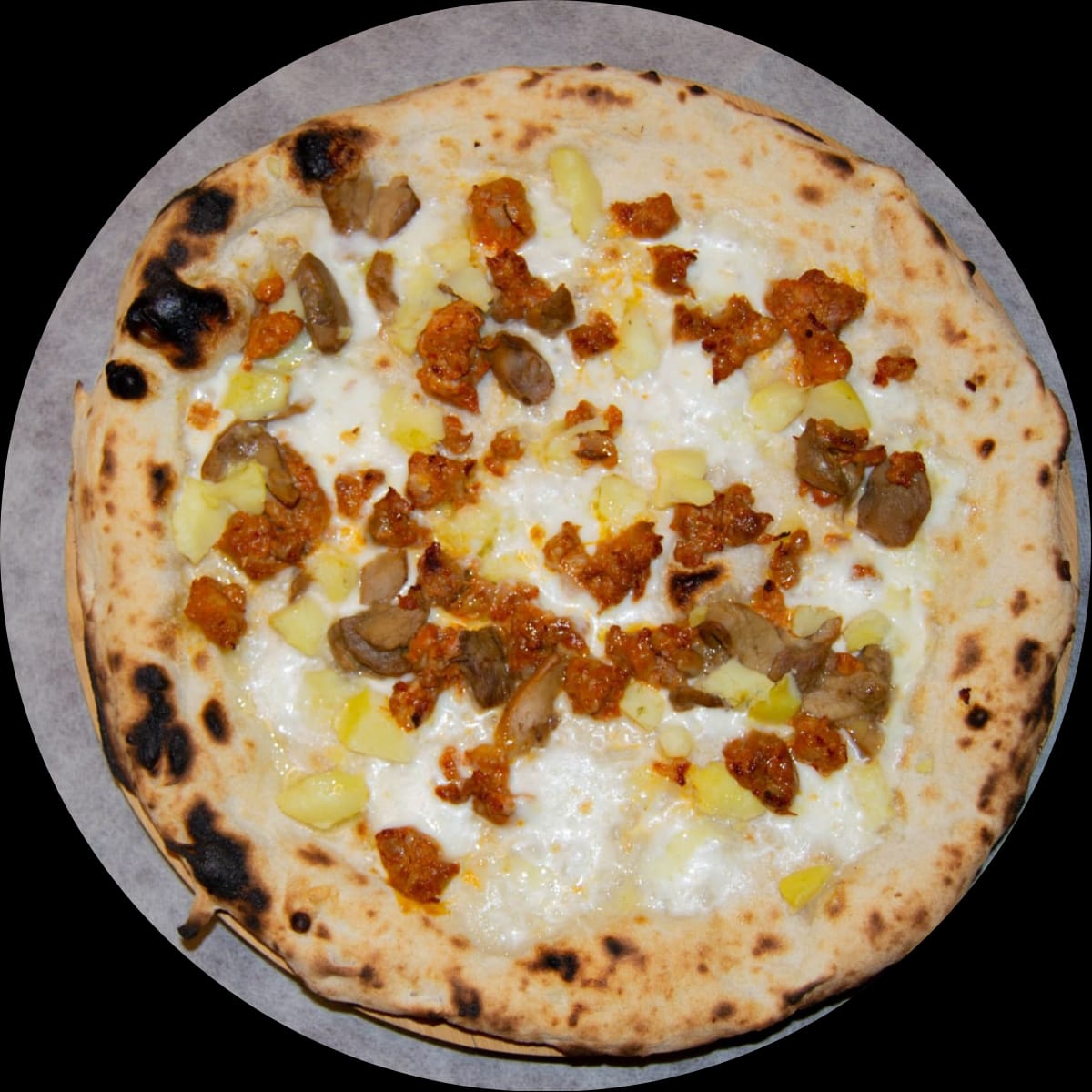 WhatsApp Image 2026-02-28 at 11.38.04