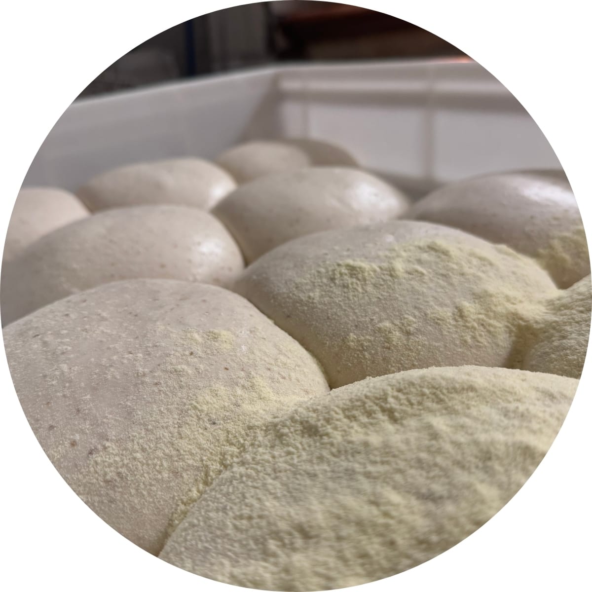 WhatsApp Image 2026-04-04 at 12.42.28 (1)